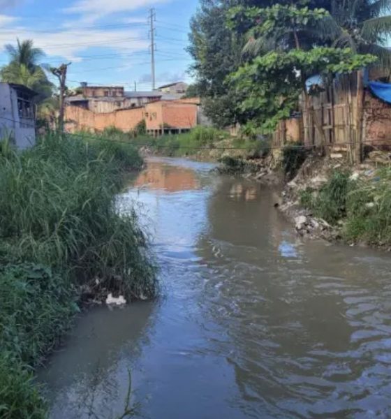 pesquisa-realizada-em-manaus-m