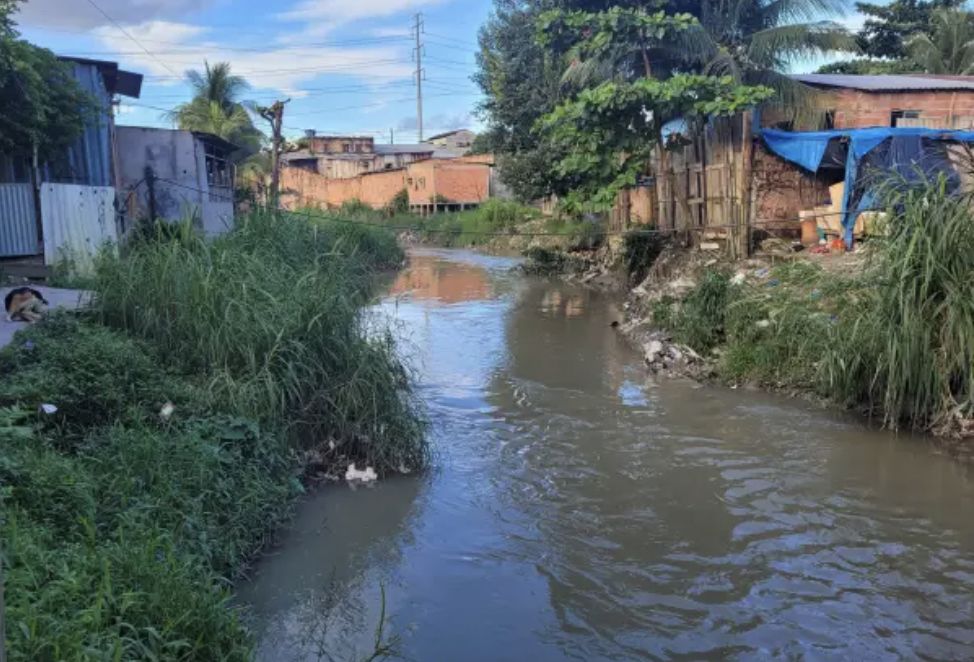 pesquisa-realizada-em-manaus-m