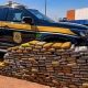 policia-rodoviaria-flagra-drog
