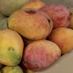 preco-da-manga-cai-mais-de-20-