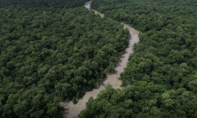 5-de-setembro-dia-da-amazonia-