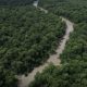5-de-setembro-dia-da-amazonia-