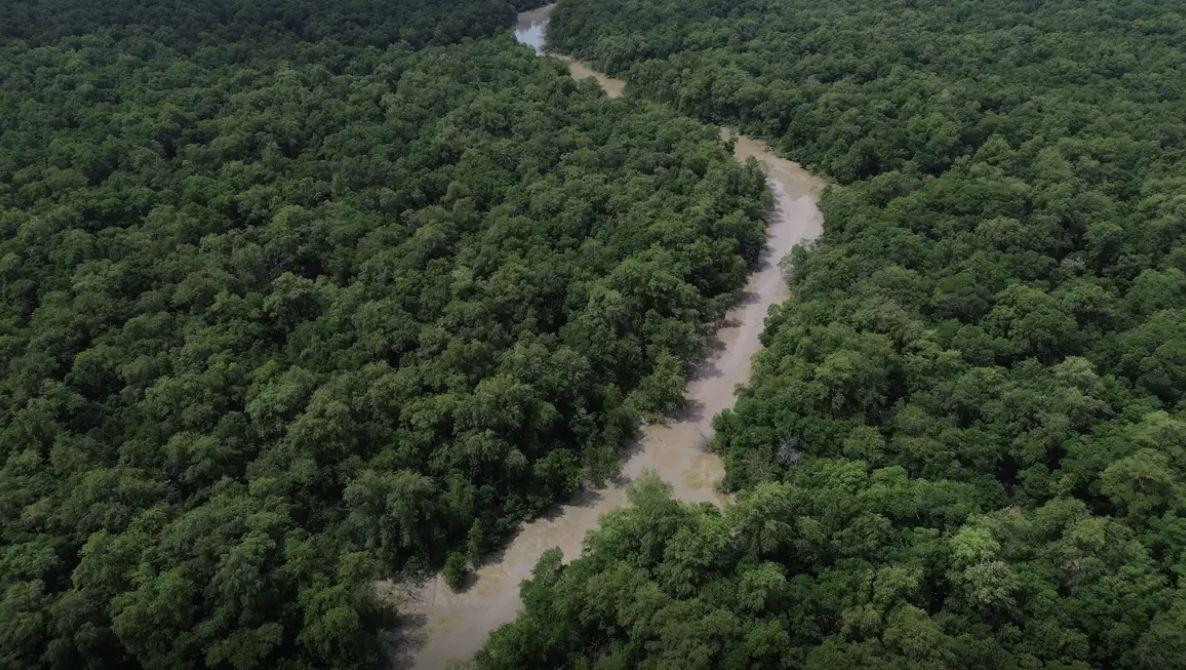 5-de-setembro-dia-da-amazonia-