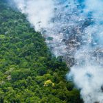 amazonia-tem-o-agosto-com-meno