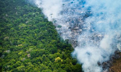 amazonia-tem-o-agosto-com-meno