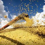 brasil-atinge-novo-recorde-com