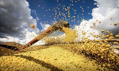 brasil-atinge-novo-recorde-com