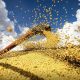brasil-atinge-novo-recorde-com