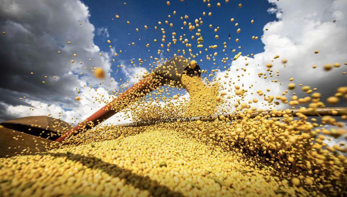 brasil-atinge-novo-recorde-com