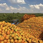 exportacao-de-produtos-atingid