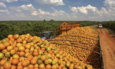 exportacao-de-produtos-atingid