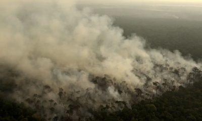 fogo-na-amazonia-compromete-qu