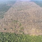 ministerio-do-meio-ambiente-e-