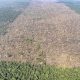ministerio-do-meio-ambiente-e-