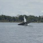 piloto-atira-aviao-com-drogas-