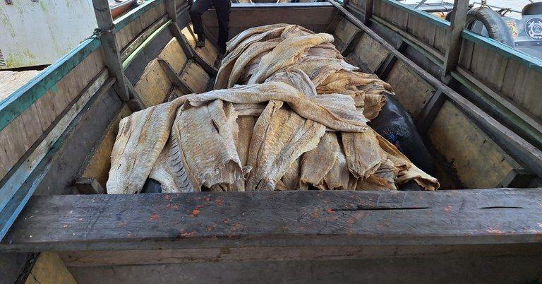 policia-federal-apreende-mais-