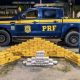 policia-rodoviaria-federal-apr