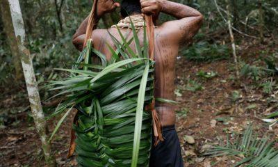proteger-terras-indigenas-redu