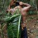 proteger-terras-indigenas-redu