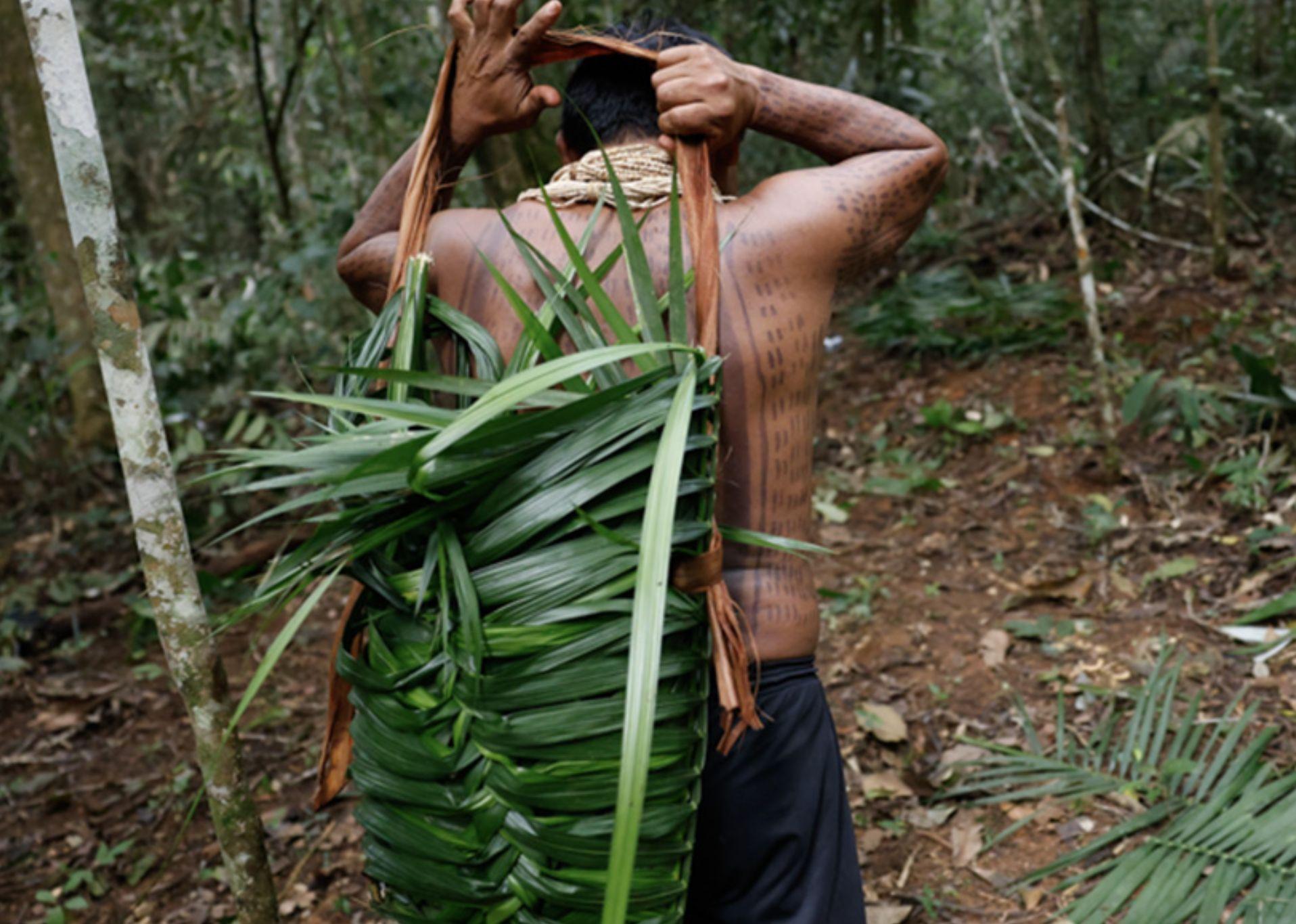 proteger-terras-indigenas-redu