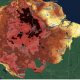 altas-temperaturas-e-secas-sev