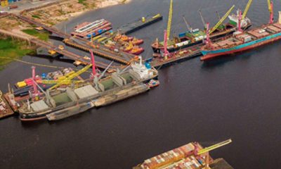 amazonas-registra-perda-de-no-