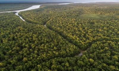 areas-preservadas-na-amazonia-