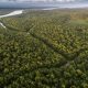 areas-preservadas-na-amazonia-