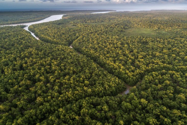areas-preservadas-na-amazonia-