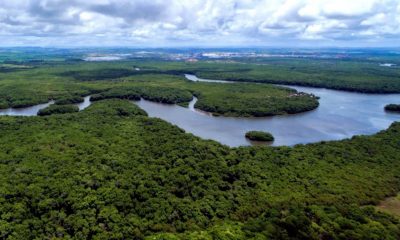 bndes-anuncia-recorde-de-inves