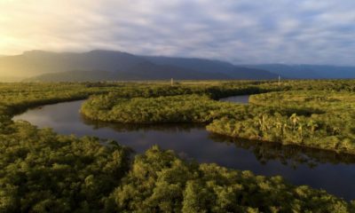 brasil-e-o-pais-que-mais-estud