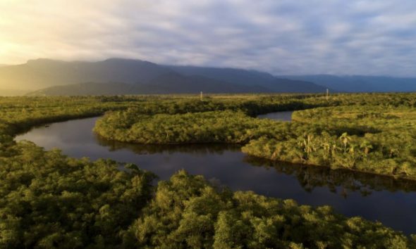 brasil-e-o-pais-que-mais-estud