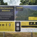 com-468-km-dentro-do-para-tril