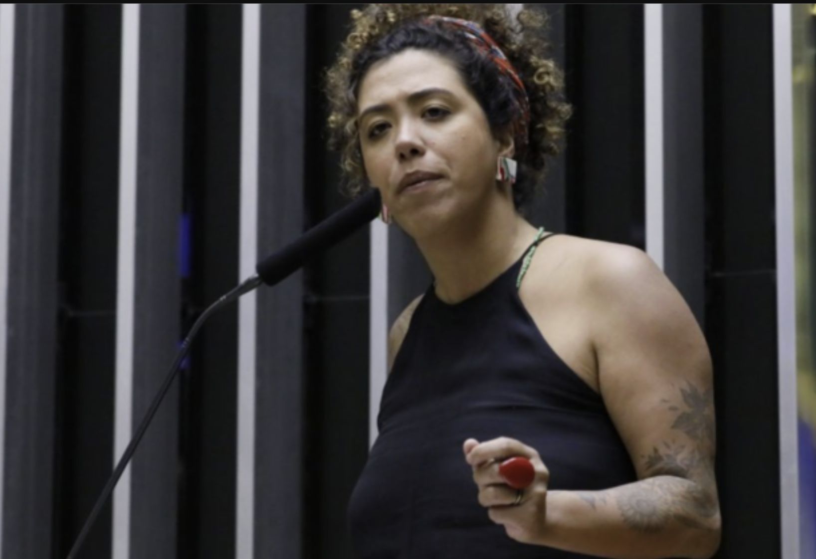 deputada-aciona-pgr-e-pf-apos-