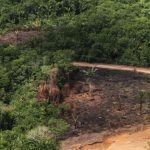 desmatamento-na-amazonia-destr