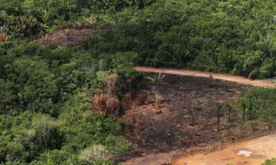 desmatamento-na-amazonia-destr