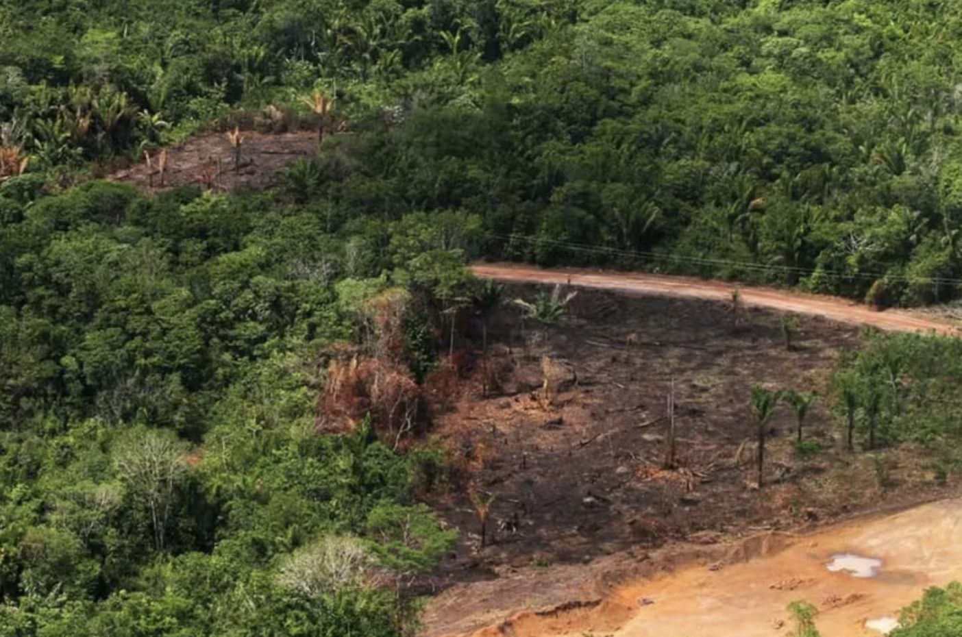 desmatamento-na-amazonia-destr