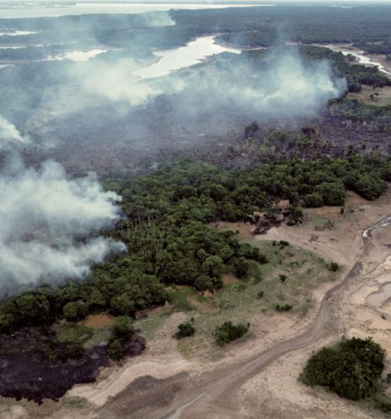 desmatamento-torna-a-amazonia-