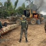 em-2025-desmatamento-tem-reduc