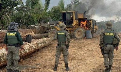 em-2025-desmatamento-tem-reduc