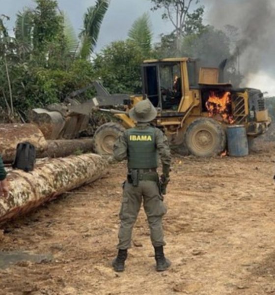 em-2025-desmatamento-tem-reduc