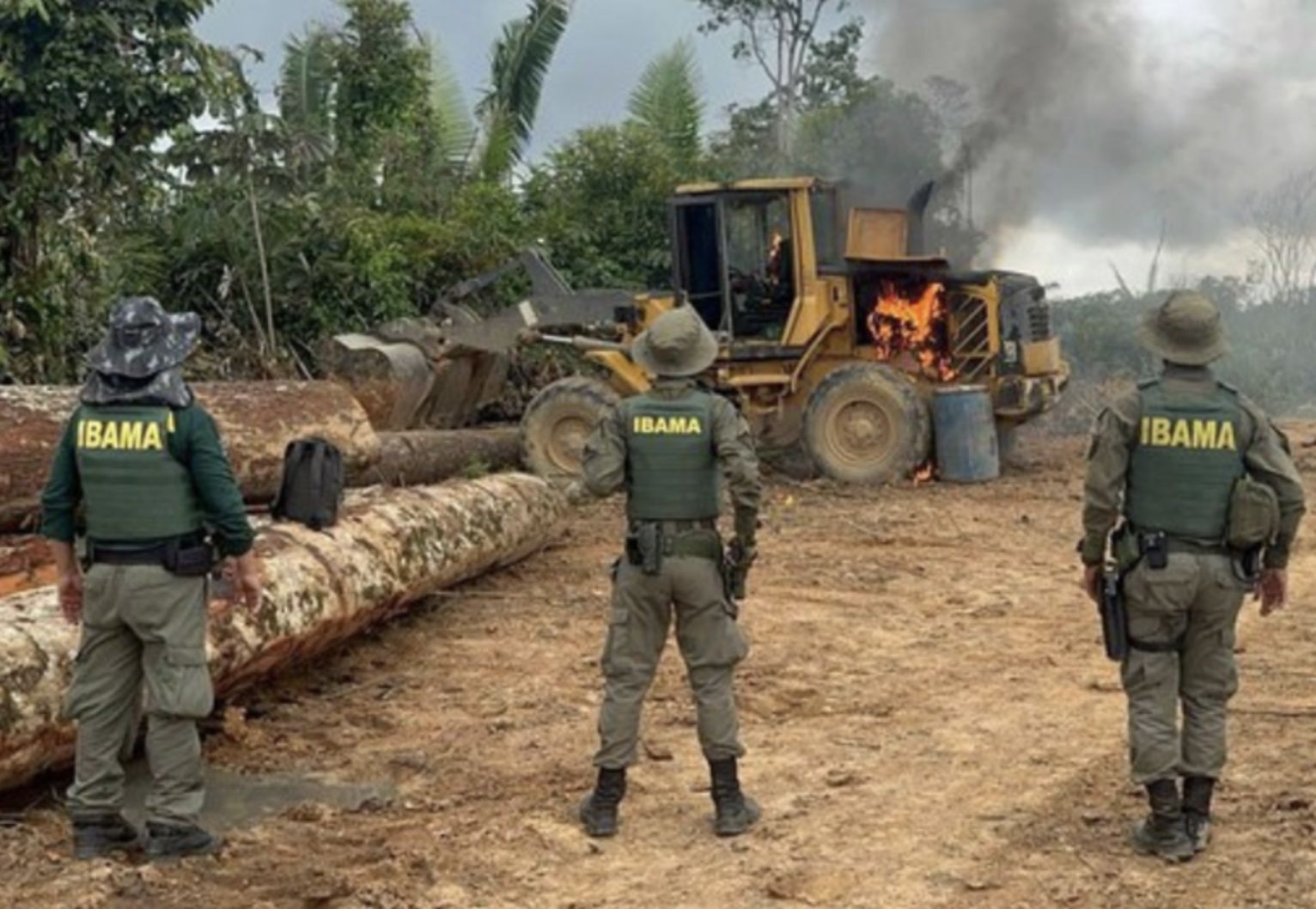 em-2025-desmatamento-tem-reduc