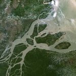 foz-do-rio-amazonas-ongs-vao-a