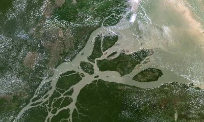 foz-do-rio-amazonas-ongs-vao-a