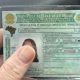 governo-divulga-passo-a-passo-