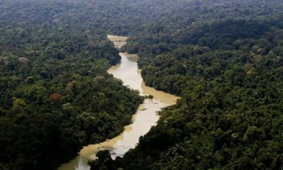 governo-federal-facilita-licen