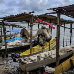 inicio-do-defeso-da-piracema-r