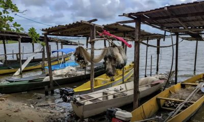 inicio-do-defeso-da-piracema-r