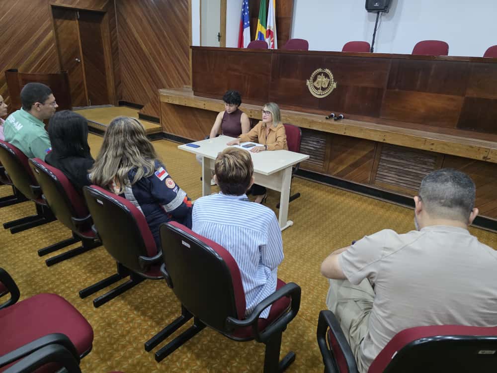 mp-e-orgaos-discutem-formas-de