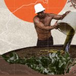 na-amazonia-67-dos-municipios-
